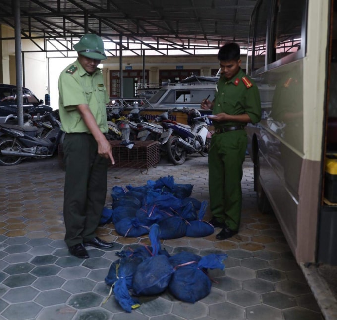 Lực lượng chức năng Hà Tĩnh thu giữ 30 cá thể tê tê trái phép