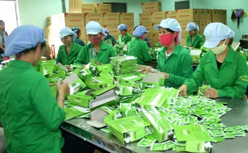 Xuất khẩu chè của Việt Nam đang phải đối mặt sự cạnh tranh mạnh mẽ với nhiều nước (Ảnh TL)