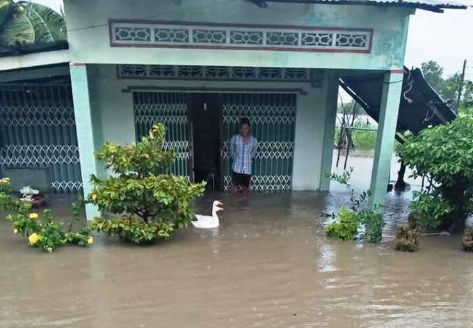 Nhiều nhà dân bị ngập nước do ảnh hưởng bão số 3.