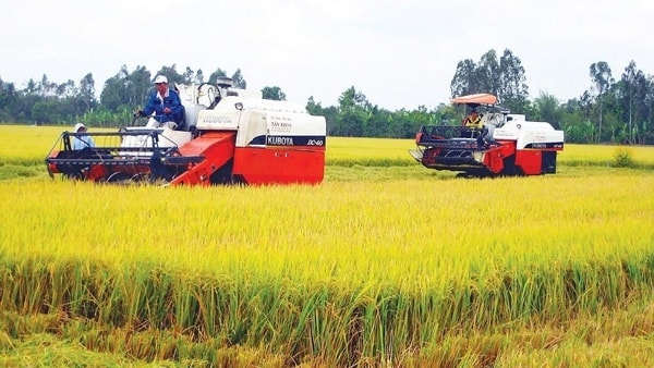 Kế hoạch đầu tư công trung hạn tại Bộ Nông nghiệp và PTNT giai đoạn 2016 - 2020 đã được Thủ tướng điều chỉnh lên 3.900 tỷ đồng. Ảnh minh họa