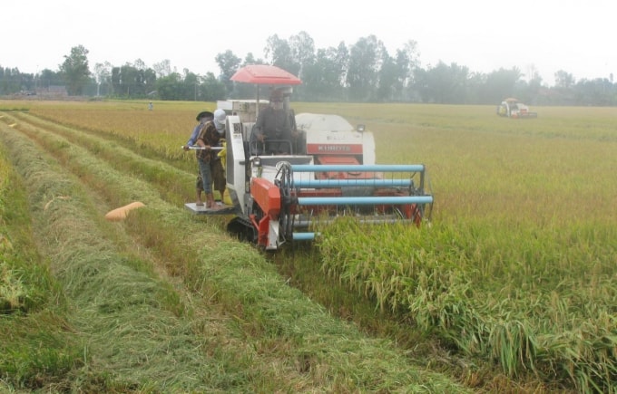 Nỗ lực cơ giới hóa giúp nâng cao năng suất hiệu quả trong sản xuất nông nghiệp.