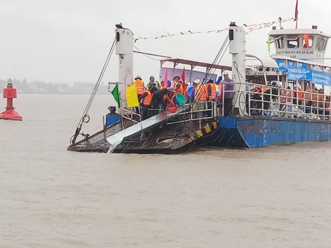 Các đại biểu thực hiện thả cá về thiên nhiên.