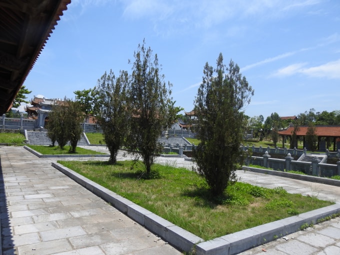Nhiều cây xanh đã có hiện tượng héo lá, còi cọc - ảnh Hà Long