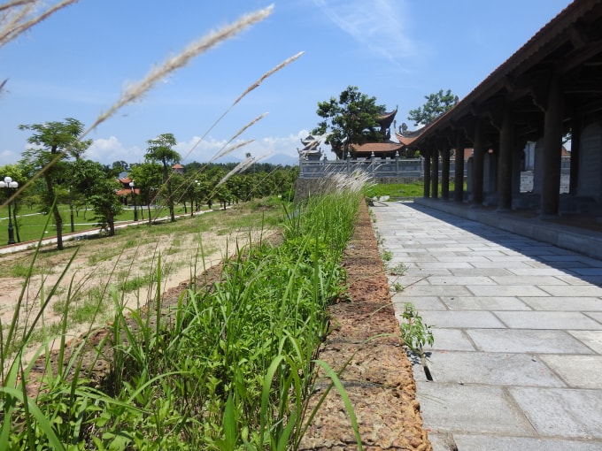 Khu vực nhà bia trong Văn Miếu cũng đầy cỏ dại (Ảnh Hà Long)