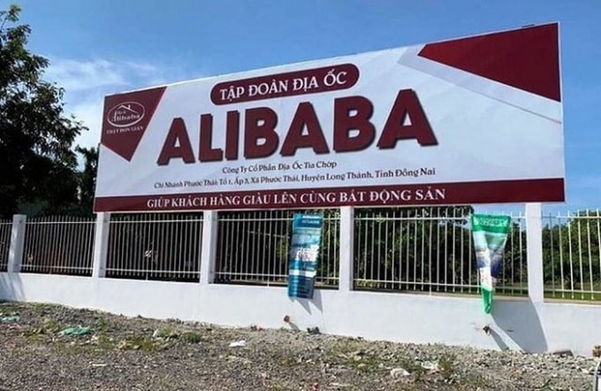 Phó Thủ tướng Thường trực Trương Hòa Bình yêu cầu cơ quan chức năng kiểm tra, làm rõ thông tin phản ánh về địa ốc Alibaba, báo cáo Thủ tướng Chính phủ kết quả thực hiện trong tháng 9 năm 2019.