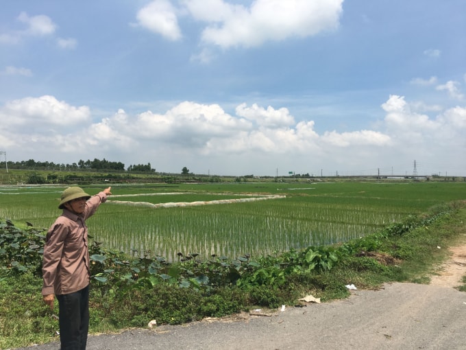 Khu vực đất nông nghiệp nằm dọc tuyến tỉnh lộ 286 của người dân xã Yên Phụ nằm trong diện thu hồi để làm khu đô thị.