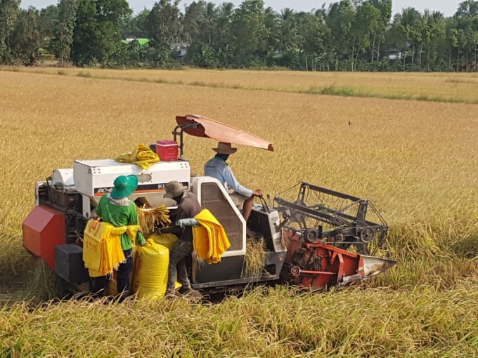 Công tác cơ giới hóa nông nghiệp được huyện Phụng Hiệp thực hiện triệt để.
