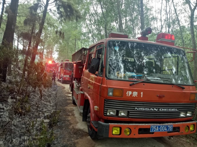 Nhiều xe cứu hỏa được huy động đến hiện trường.