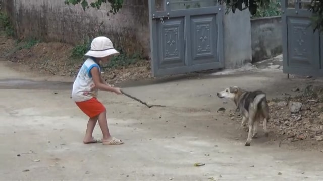 Trẻ nhỏ luôn là đối tượng bị chó tấn công (Ảnh minh họa)