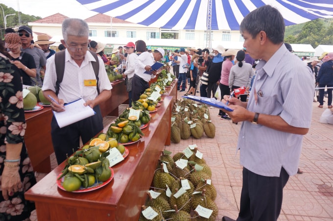 Lễ hội trái cây Khánh Sơn.