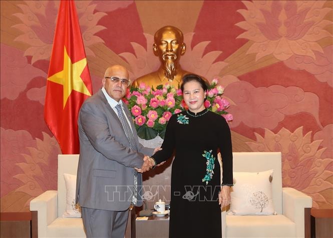 Chủ tịch Quốc hội Nguyễn Thị Kim Ngân tiếp Chủ tịch Ủy ban Bảo vệ cách mạng Cuba Carlos Rafael Miranda Martinez. Ảnh: TTXVN