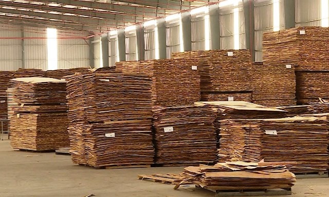 Tăng cường biện pháp kiểm tra xuất xứ đối với hoạt động sản xuất kinh doanh gỗ dán của các doanh nghiệp. (Ảnh minh họa)