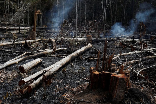 Cháy ở Novo Airao bang Amazonas ngày 21/8. Ảnh: Reuters