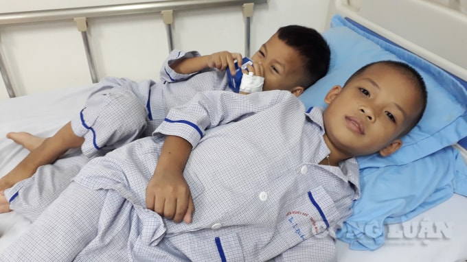 Hai anh em Thịnh và Tường điều trị tại Viện Huyết học - Truyền máu Trung ương