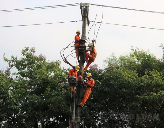 PC Thừa Thiên Huế thường xuyên kiểm tra, bảo dưỡng hệ thống lưới điện.