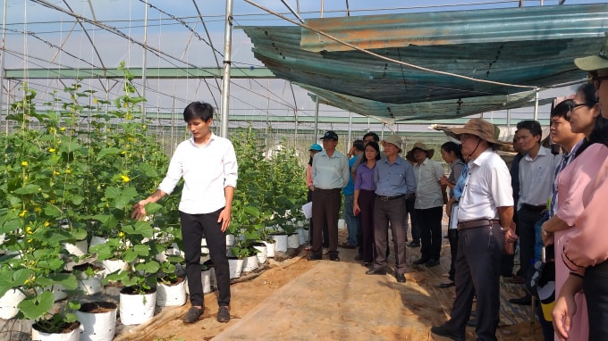 Đội ngũ tuyên truyền viên chuyên sâu tỉnh Bà Rịa - Vũng Tàu tham quan mô hình sản xuất rau ứng dụng công nghệ cao của Công ty Vương Huy tại xã Xà Bang, huyện Châu Đức- ảnh :Lâm Quân