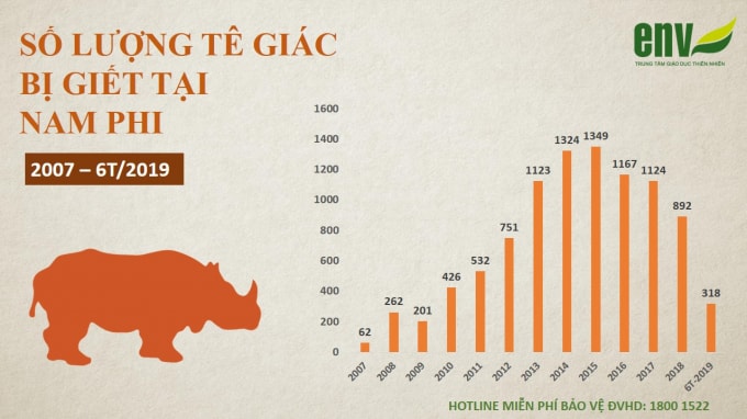 Số lượng tê giác bị giết hại tại Nam Phi từ năm 2007 đến nay. (Ảnh: ENV cung cấp).