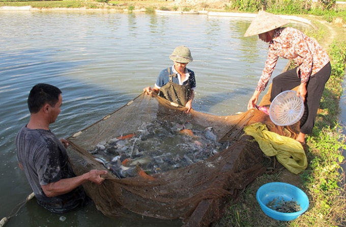 Nguồn vốn vay còn hạn chế nên chưa đáp ứng được nhu cầu vốn tạo việc làm, duy trì và mở rộng việc làm. (Ảnh minh họa)