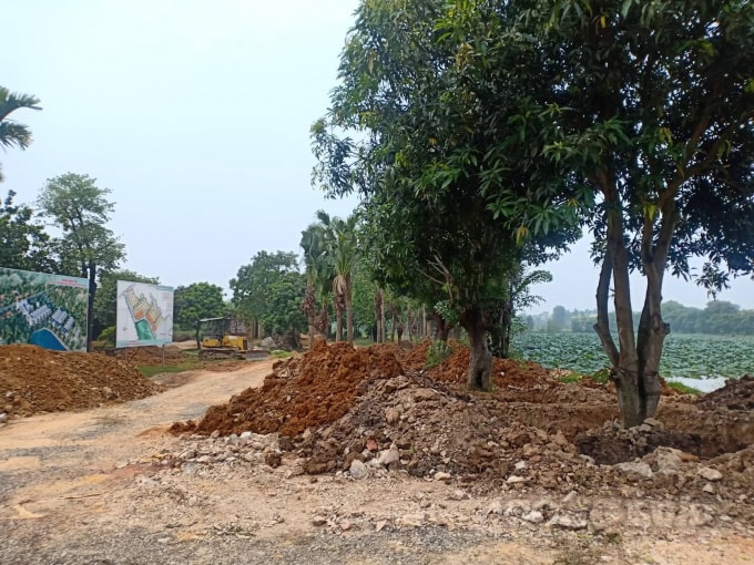 Hoạt động san lấp, cắm biển thông tin tại khu dân cư sinh thái Hòa Lạc Lake View vào tháng 7/2019.