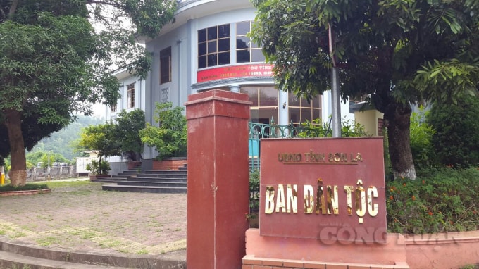 Ảnh bạn đọc cung cấp