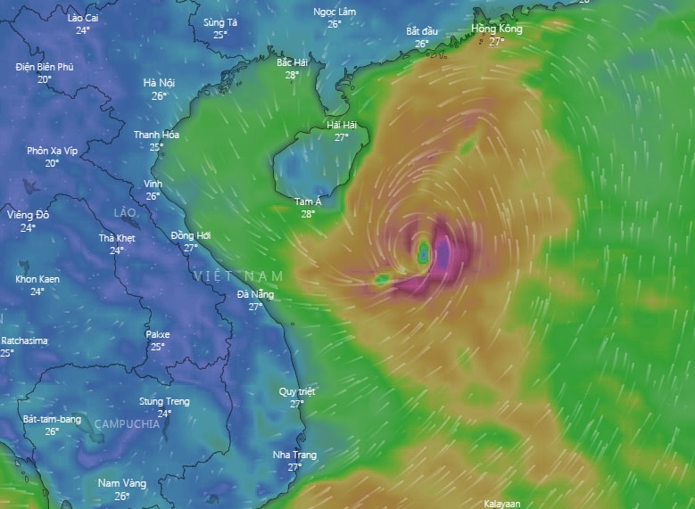 Hình ảnh cơn bão số 4 (tên quốc tế là Podul) trên trang dự báo thời tiết Windy. (Ảnh chụp màn hình)