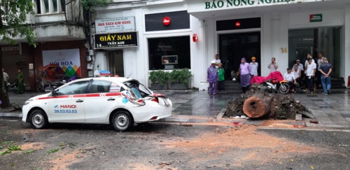 Chiếc Taxi bị cây đổ bẹp phía sau. Ảnh TL.