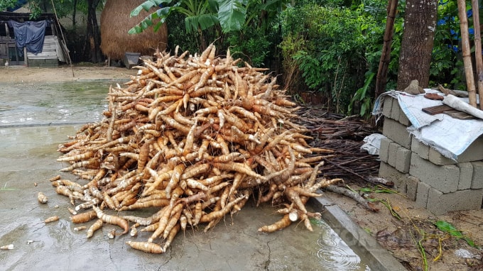 Một số người dân đã thu hoạch được săn mang về nhà an toàn.