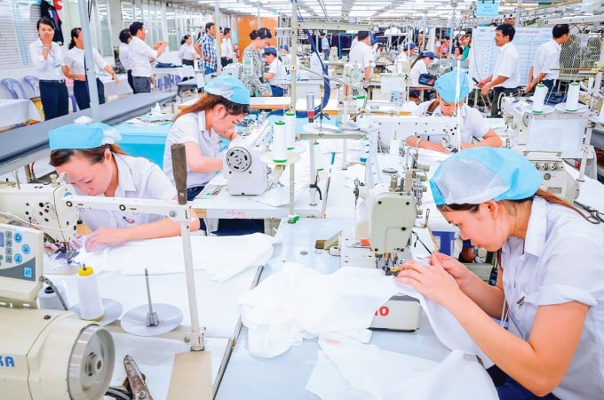 Thị trường EU đang mở ra thêm những cơ hội cho hàng hóa và doanh nghiệp Việt Nam.
