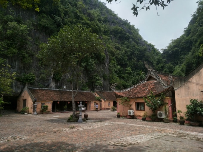 Ông Nguyễn Văn Thoa, Giám đốc DNTN Minh Thoa lại cho rằng: Cục THADA đã đưa ra bản thông báo thiếu tính cơ sở thực tiễn, chưa xem xét kỹ hồ sơ và các tình tiết diễn ra trong vụ việc, áp dụng điều luật, Nghị định cũ mà không có sự cập nhật….