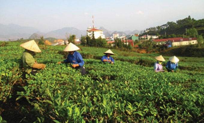 Đáp ứng đủ nhu cầu tiếp cận vốn tín dụng ngân hàng của người dân, nhất là tại khu vực vùng sâu, vùng xa. (Ảnh minh họa)