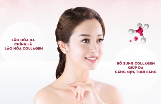 Collagen có tác dụng vô cùng quan trọng trong việc chống lão hóa da