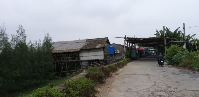 Các nhà hàng băm nát hành lang đê biển