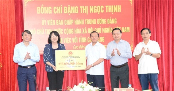 Phó Chủ tịch nước Đặng Thị Ngọc Thịnh trao tặng 200 suất học bổng trị giá 200 triệu đồng cho học sinh nghèo vượt khó học giỏi; tặng sách trị giá 75 triệu đồng cho 5 thư viện trong tỉnh. Ảnh; Công Hải