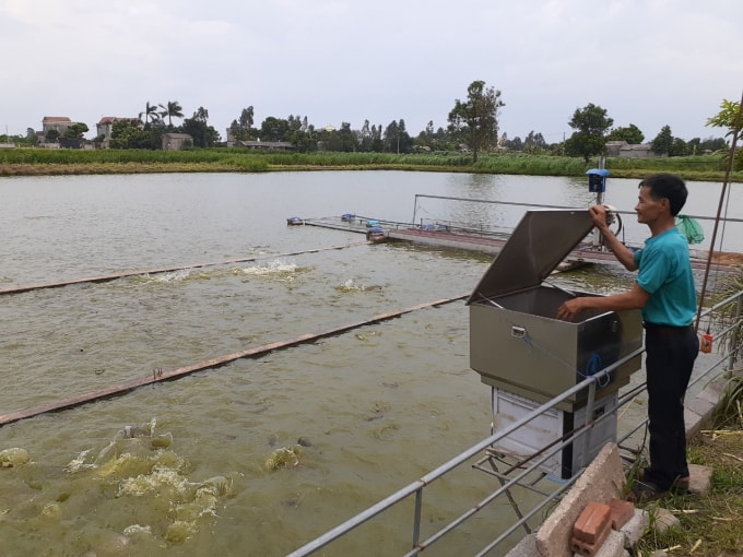 Mô hình nuôi cá lồng tại Lương Tài, Bắc Ninh.