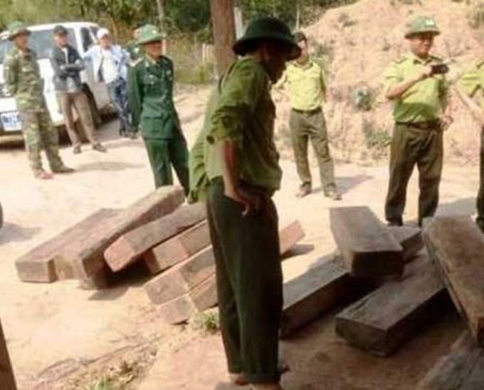 Lực lượng chức năng thu giữ gỗ trái phép