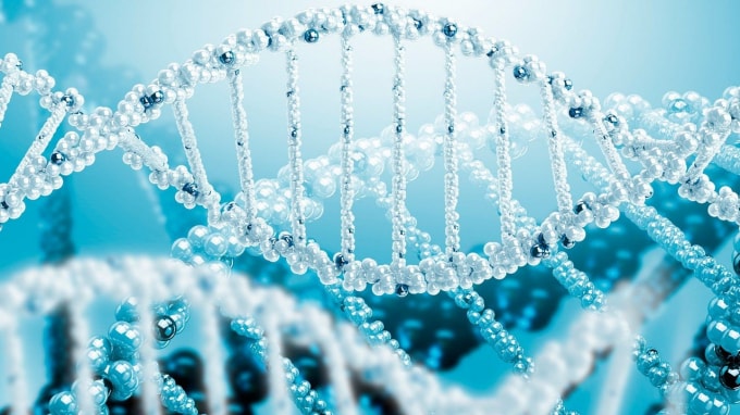 Acetyl Hexapeptide-8 – Ma thuật trẻ hóa làn da