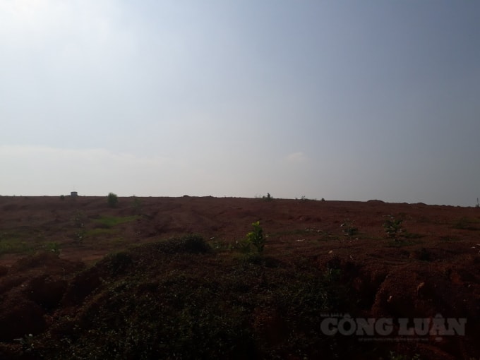 Đồi Ba Cây bị cạo trọc.