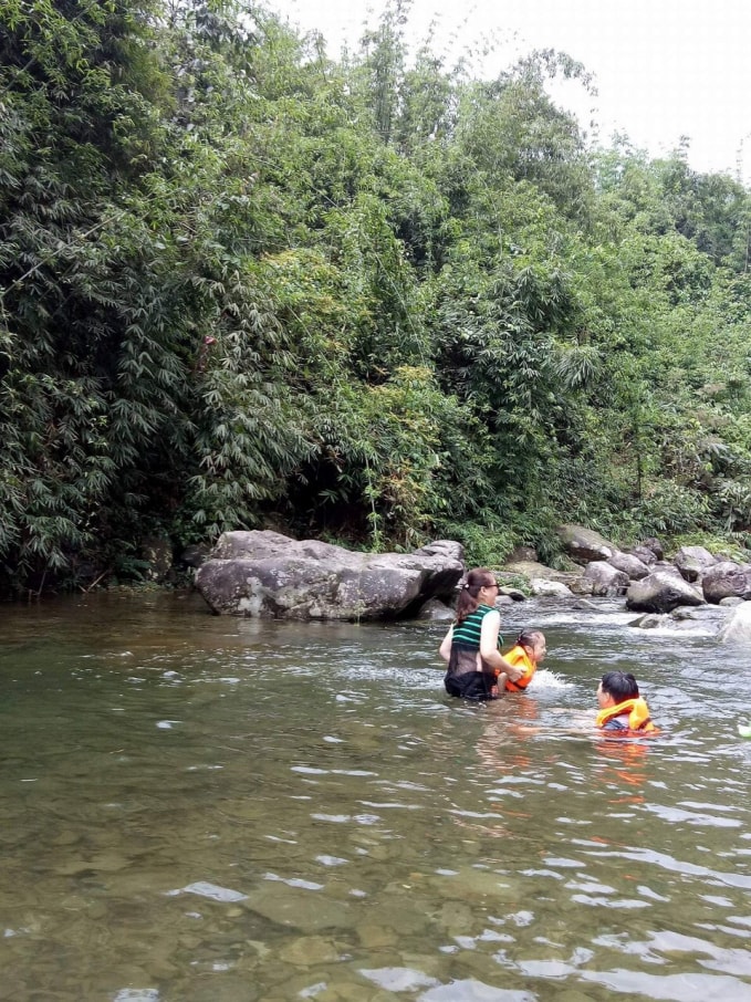 Dòng suối trong vắt từ đỉnh Tam Đảo đổ về.