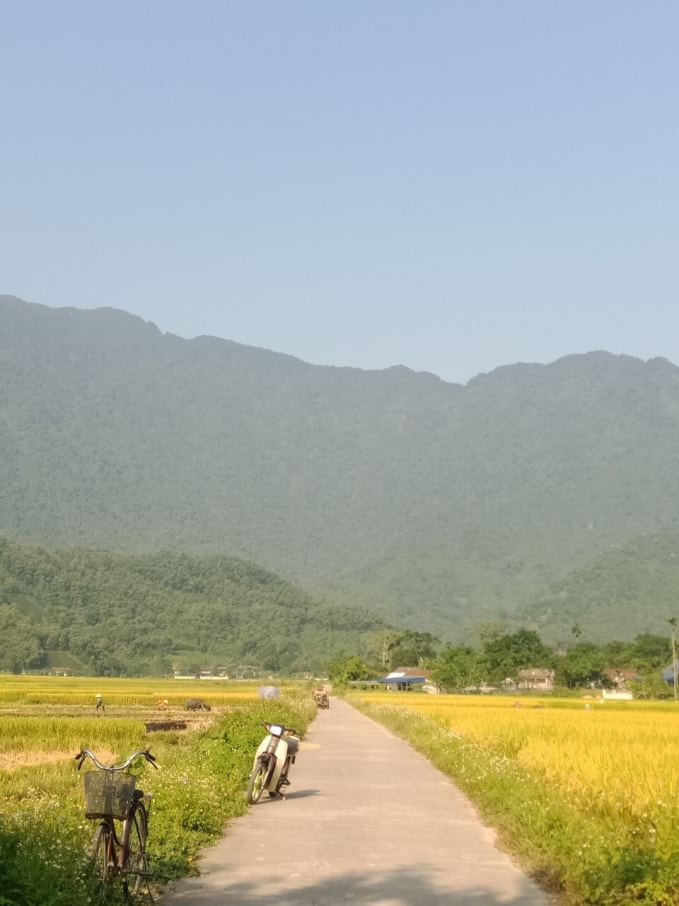 Đường về Di tích.