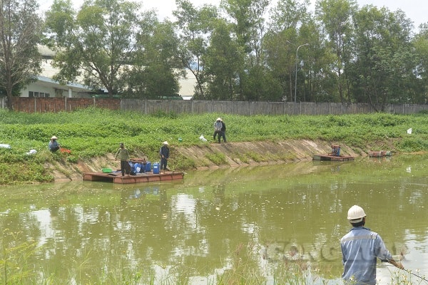 Nhà máy cồn gây ô nhiễm cam kết giải phóng hàng tồn kho trong vòng 15 ngày.