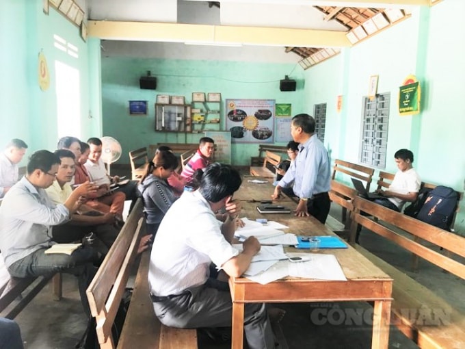 Xã quyết định hỗ trợ 4.000 đồng/cây nhưng dân cương quyết từ chối.