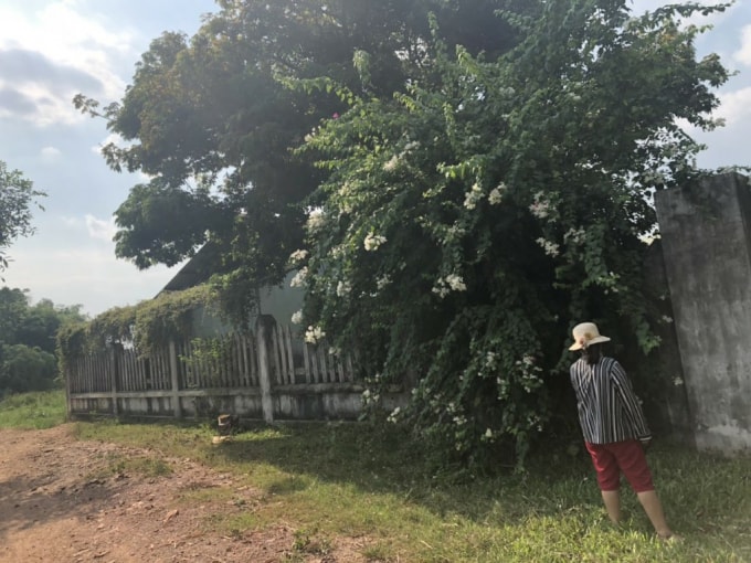 Khu vực thửa đất đang tranh chấp đã được bà Nguyễn Thị Phi Phương mua lại và xây dựng nhiều công trình.