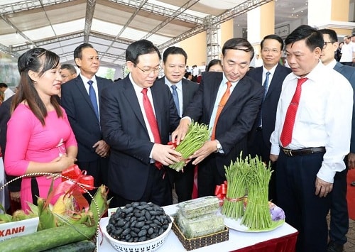 Phó Thủ tướng thăm gian hàng rau củ quả, đây là những mặt hàng quan trọng trong chuỗi nông sản của Thái Nguyên. Ảnh: VGP