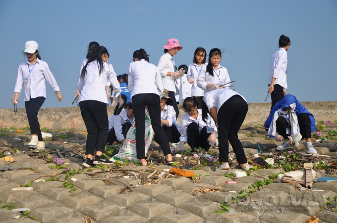 Các bạn học sinh tham gia thu gom và phân loại rác. Ảnh: Mỹ Ngọc