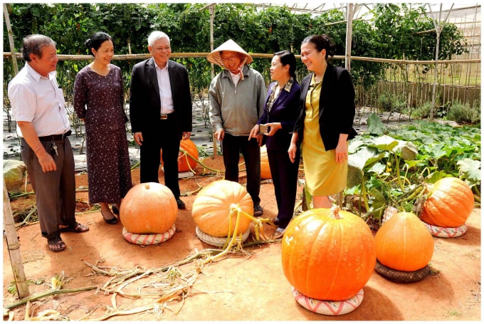 Anh Phan trao đổi kinh nghiệm trồng bí ngô với mọi người.