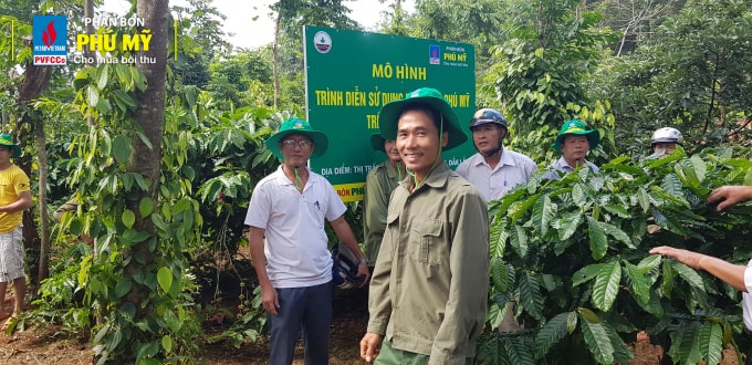 Bà con tham quan mô hình trình diễn sử dụng phân bón Phú Mỹ trên cây cà phê của anh Phạm Văn Băng.