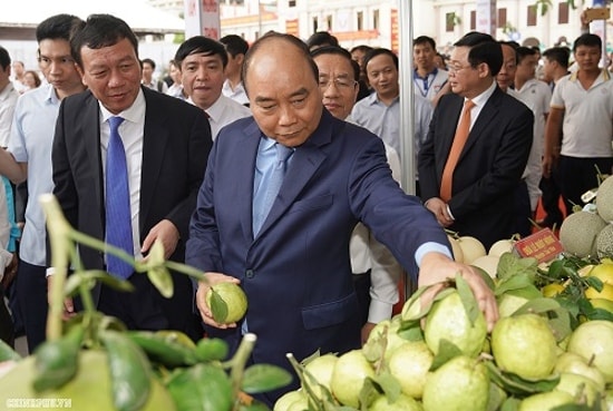 Thủ tướng tham quan các gian hàng trưng bày nông sản của các địa phương. Ảnh: VGP