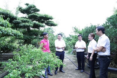 Bằng việc dần xóa bỏ hình ảnh cuộc sống nghèo khó, lam lũ ở các vùng quê, chương trình xây dựng Nông thôn mới với vai trò trợ lực kinh tế của Agribank thực sự đã làm bừng lên sức sống mới cho nông thôn Việt Nam.