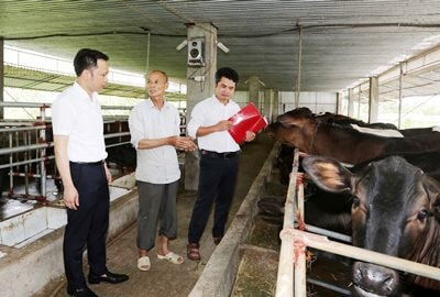 Chủ động gắn công tác cho vay theo chương trình xây dựng NTM với các chương trình tín dụng chính sách phục vụ phát triển nông nghiệp, nông thôn, Agribank góp phần phát triển kinh tế địa phương, nâng cao đời sống vật chất và tinh thần cho nhân dân.