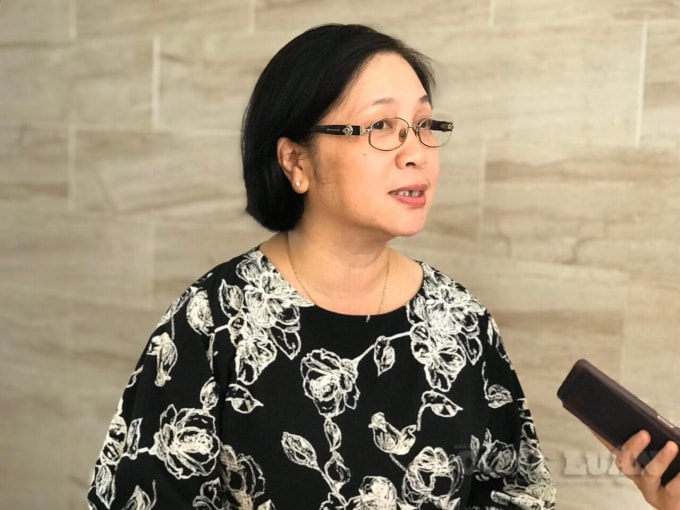 Bà Nguyễn Thị Ngọc Lan - Phó Tổng cục trưởng Tổng cục Dân số - Kế hoạch hóa gia đình. Ảnh: An Khang